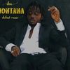 ibamontana078