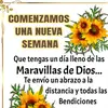 rosaliof.v