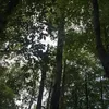 hh__jj30