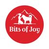 Bits of Joy
