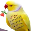 user8817001977734