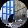 yaz_k99