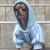 ezplaydt
