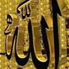 shvan780