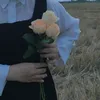 ll_mi44