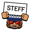 ttm_steff