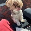 vivi.supa.secret.spam