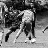 italo11__