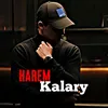haremkalary99
