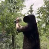 panda.eraqy