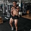 segarfit