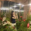 cutephomaiique_06