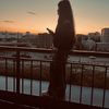 qehramanova_777