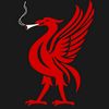 vijaylfc