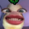 ducky2.4