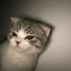 kunjinxgaming7