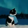 toilaskibiditoilett