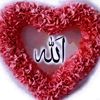 user5333795867618