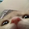 octoberwa