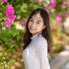 tvkhnhlinh2
