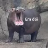 duy.tu46
