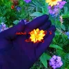 regay.salaf4