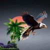 teh_obeng46