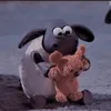 whzwhbi