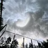 zhalsanars_1