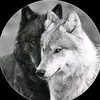 ali_________lo___