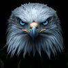 abdaleahmed22