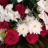 abeeha6214