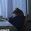 mug_programmer