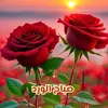 user6579199003109