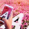 abassjaber7