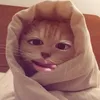 _iw.ngoctram_