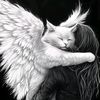 ayesha__df