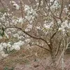 www.tik.tok.322226789