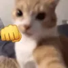mylzry