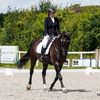 beckys_horse_adventures