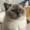 janjanjanjad1