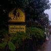 kittipong9085