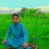 subhanm335