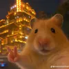 hnhunxinh