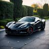 Stingray Vibes