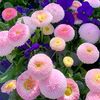 user5012106614215