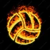 vb_player56