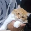 eubpp