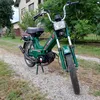 bornasutila