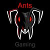 antsgaming32